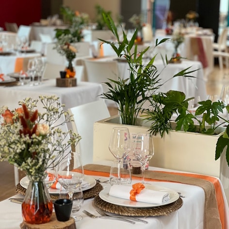 réceptions Le domaine de marie